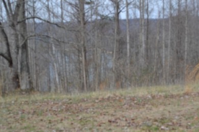 1.03 AC W/ CENTER HILL LAKE, TN & MTNS -- YEAR AROUND VIEW - photo 11