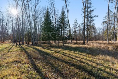 Discover one of the last rare vacant lots on the sun-kissed - photo 5