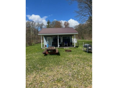 Lake Home For Sale in Twin Lake, Michigan