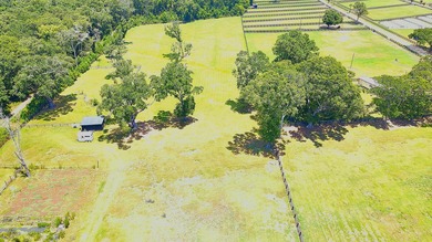 Great opportunity to live in the country on Johns Island - photo 1