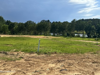 Lake Acreage For Sale in Jackson, Mississippi