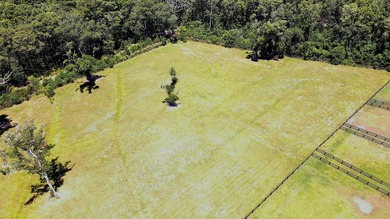 Great opportunity to live in the country on Johns Island - photo 4
