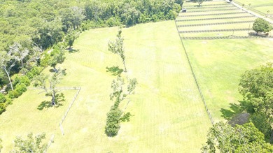 Great opportunity to live in the country on Johns Island - photo 6