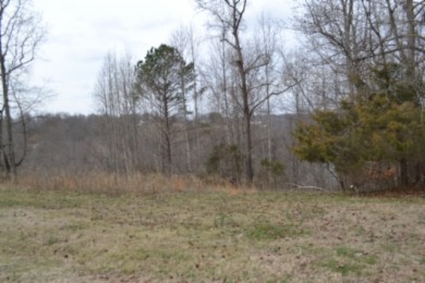 1.03 AC W/ CENTER HILL LAKE, TN & MTNS -- YEAR AROUND VIEW - photo 2