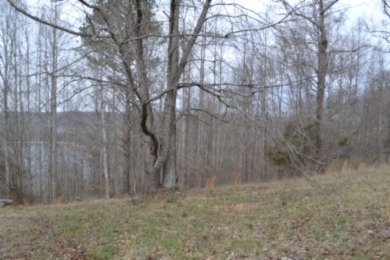 1.03 AC W/ CENTER HILL LAKE, TN & MTNS -- YEAR AROUND VIEW - photo 10