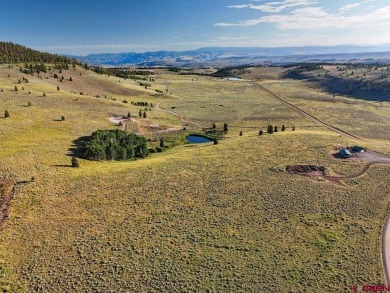 (private lake, pond, creek) Lot For Sale in Powderhorn Colorado