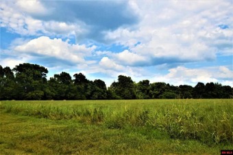 BEAUTIFUL FLAT LOT IN UPSCALE SUBDIVISION, 5 minutes from Marina - Lake Acreage For Sale in Oakland, Arkansas