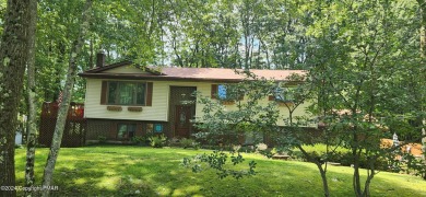 Pocono Summit Lake Home For Sale in Pocono Summit Pennsylvania