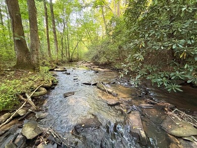 Coosawattee River - Gilmer County Acreage For Sale in Ellijay Georgia