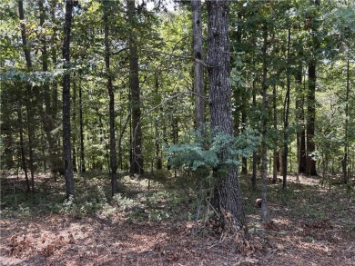 Lake Lot For Sale in Bella Vista, Arkansas