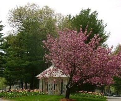 Welcome home to desirable Williamsburg I. This Cape style unit - photo 27