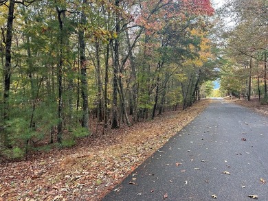 Lake Lot For Sale in Blairsville, Georgia