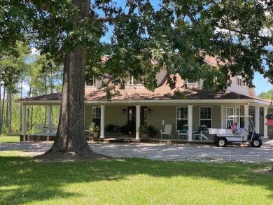 (private lake, pond, creek) Home For Sale in Ailey Georgia