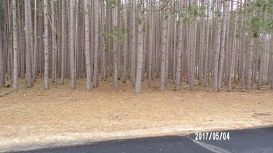 Lake Camelot Lot For Sale in Nekoosa Wisconsin