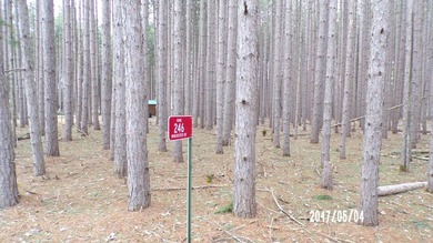 Lake Camelot Deeded Lake Access Lot. Located in Wooded tall - photo 2