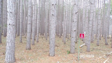 Lake Camelot Deeded Lake Access Lot. Located in Wooded tall - photo 3