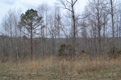 1.03 AC W/ CENTER HILL LAKE, TN & MTNS -- YEAR AROUND VIEW - photo 6