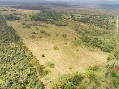 Huge upside potential for this 23.44 fee simple acres of land - photo 11
