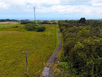 Huge upside potential for this 23.44 fee simple acres of land - photo 14