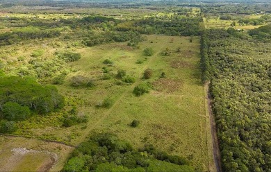 Huge upside potential for this 23.44 fee simple acres of land - photo 21