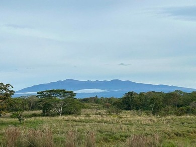 Huge upside potential for this 23.44 fee simple acres of land - photo 22