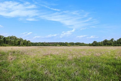Welcome to 2255 River Road - a truly unique and secluded - photo 26
