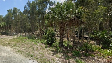 Lehigh Acres Area Lot For Sale in Lehigh Acres Florida