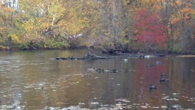 Welcome to 2255 River Road - a truly unique and secluded - photo 37