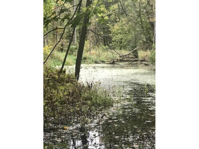 Welcome to 2255 River Road - a truly unique and secluded - photo 42