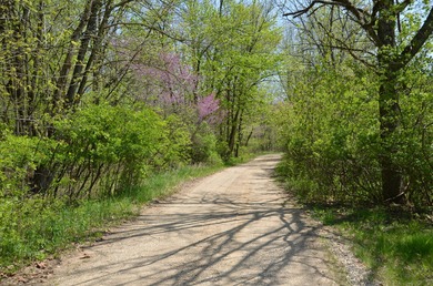 Welcome to 2255 River Road - a truly unique and secluded - photo 44