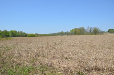 Welcome to 2255 River Road - a truly unique and secluded - photo 49
