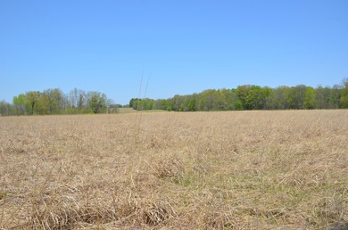 Welcome to 2255 River Road - a truly unique and secluded - photo 50
