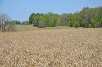Welcome to 2255 River Road - a truly unique and secluded - photo 51