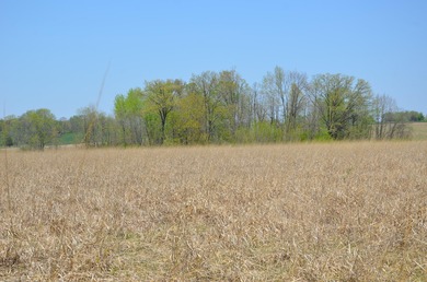 Welcome to 2255 River Road - a truly unique and secluded - photo 52