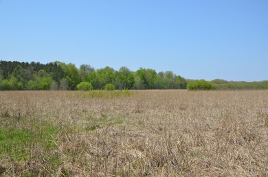 Welcome to 2255 River Road - a truly unique and secluded - photo 53