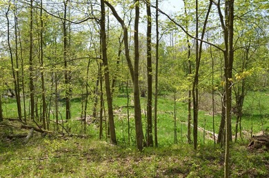 Welcome to 2255 River Road - a truly unique and secluded - photo 56