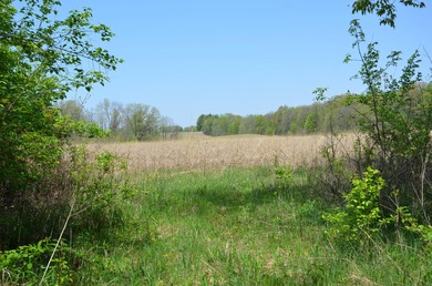 Welcome to 2255 River Road - a truly unique and secluded - photo 57