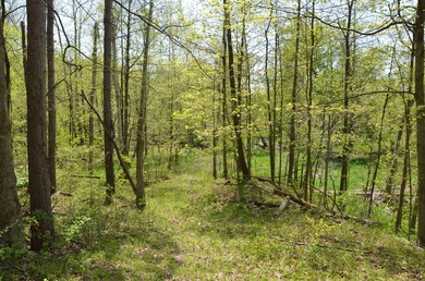 Welcome to 2255 River Road - a truly unique and secluded - photo 60