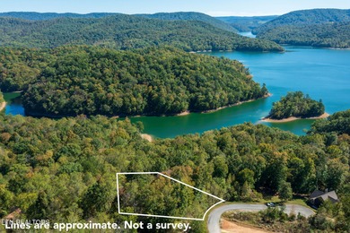Lake Lot For Sale in New Tazewell, Tennessee