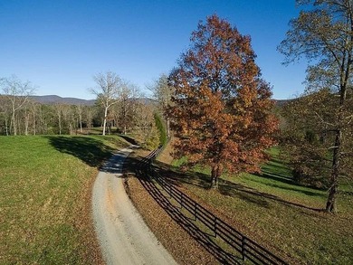 Lake Acreage For Sale in Ellijay, Georgia
