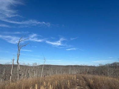 Gasconade River Acreage For Sale in Dixon Missouri
