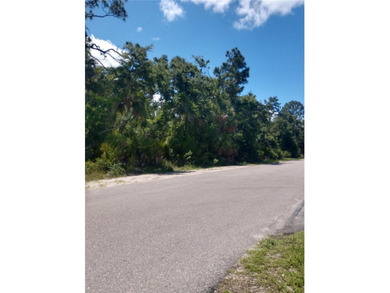 Port Charlotte Waterway Area Lot For Sale in Port Charlotte Florida