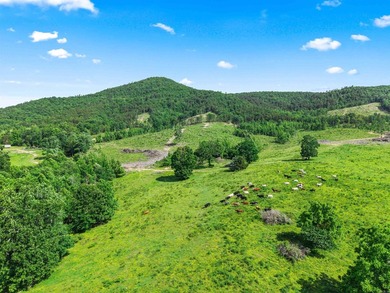 Rarely does a property this complete come to market. Located in - photo 5