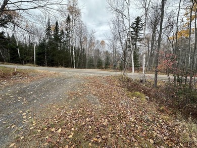 ATV and snowmobile enthusiasts check this out! Two bed one bath - photo 11