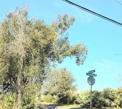 Prime 10,000 sq ft commercial lot located directly in front of - photo 2