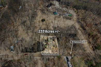 Woodland Lake - Newaygo County Lot For Sale in Bitely Michigan