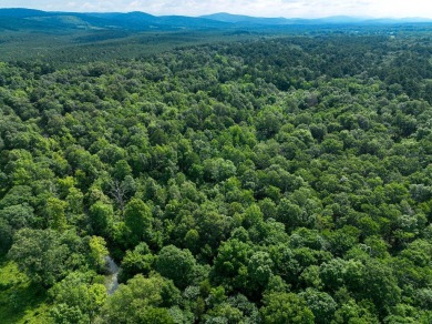 Lake Acreage For Sale in Smithville, Oklahoma