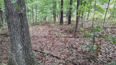 Lake Lot For Sale in Bella Vista, Arkansas