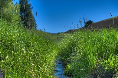 The Homestead is 40 amazing acres and boasts a charming 3800 - photo 15