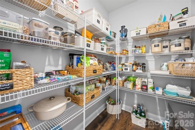 Welcome to 116 Aviendha Lane in Troutman! Just minutes from - photo 16